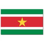 Gevelvlag/vlaggenmast vlag Suriname 90 x 150 cm - Suriname.., Nieuw, Ophalen of Verzenden