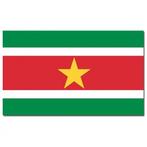 Gevelvlag/vlaggenmast vlag Suriname 90 x 150 cm - Suriname.., Hobby en Vrije tijd, Ophalen of Verzenden, Nieuw