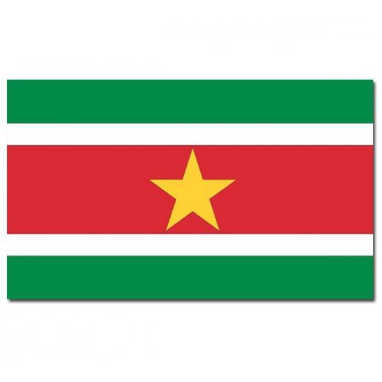 Gevelvlag/vlaggenmast vlag Suriname 90 x 150 cm - Suriname.., Hobby en Vrije tijd, Feestartikelen, Ophalen of Verzenden
