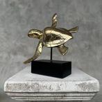 sculptuur, NO RESERVE PRICE - Turtle on a Stand Bronze