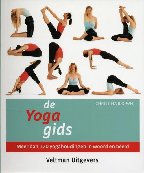 De yoga gids 9789059203372 Clare Brown, Boeken, Esoterie en Spiritualiteit, Gelezen, Verzenden