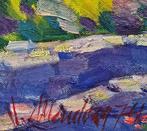 José Mendoza (1943) - Paisaje de mediodía (anverso y, Antiek en Kunst, Kunst | Schilderijen | Klassiek
