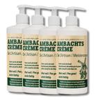 Ambachtscreme pomp - 450ml - 4 stuks, Verzenden, Nieuw