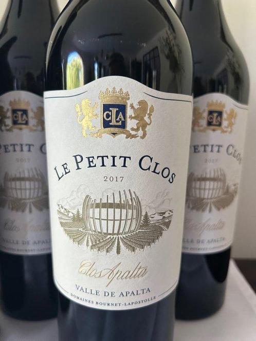 2017 Clos Apalta - Colchagua Valley - 6 Flessen (0.75 liter), Verzamelen, Wijnen