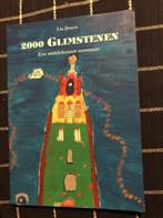 2000 Glimstenen 9789068063271 Lia Bruyn, Verzenden, Gelezen, Lia Bruyn