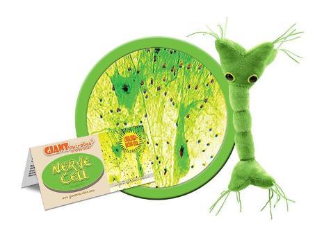 Giant Microbes Nerve cell (zenuwcel of neuron), Verzamelen, Speelgoed, Verzenden