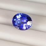 Tanzaniet - 2.39 ct - International Gemological Institute, Sieraden, Tassen en Uiterlijk, Edelstenen, Nieuw