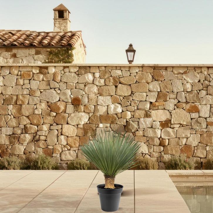 Yucca Rostrata | 80 - 100cm - Ø38cm, Huis en Inrichting, Kamerplanten, Verzenden