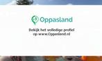 Martine zoekt een oppas in Rotterdam voor 2 kinderen.