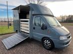 Leuke 2-paards Fiat paardenwagen te koop!, Dieren en Toebehoren, Ophalen, Zo goed als nieuw, Aluminium, 2-paards trailer