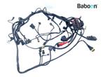 Kabelboom Ducati Monster 620 2002-2008 (M620), Motoren, Onderdelen | Ducati, Verzenden, Gebruikt