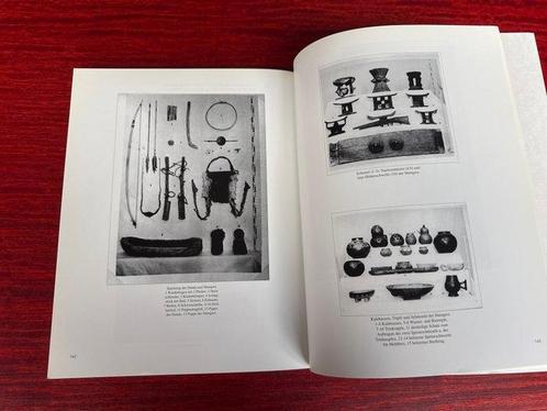Karin Bautz - Giselher Blesse - Die Vergessene Expedition -, Antiek en Kunst, Kunst | Niet-Westerse kunst