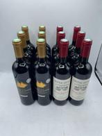 6x 2019 Château Lestage Montagne Saint-Emilion - 6x 2018, Nieuw