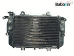 Radiateur BMW G 310 R 2017-2019 (G310R K03) (8558350), Gebruikt