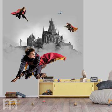 Harry Potter behang, Harry Potter kamer, Ron, Hermelien, beschikbaar voor biedingen