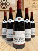 2020 Étienne Rodier Hautes Côtes de Beaune - Bourgogne - 6, Nieuw