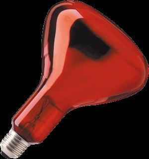 Philips Infraroodlamp met reflector - 57521025, Tuin en Terras, Buitenverlichting, Overige typen, Nieuw, Verzenden