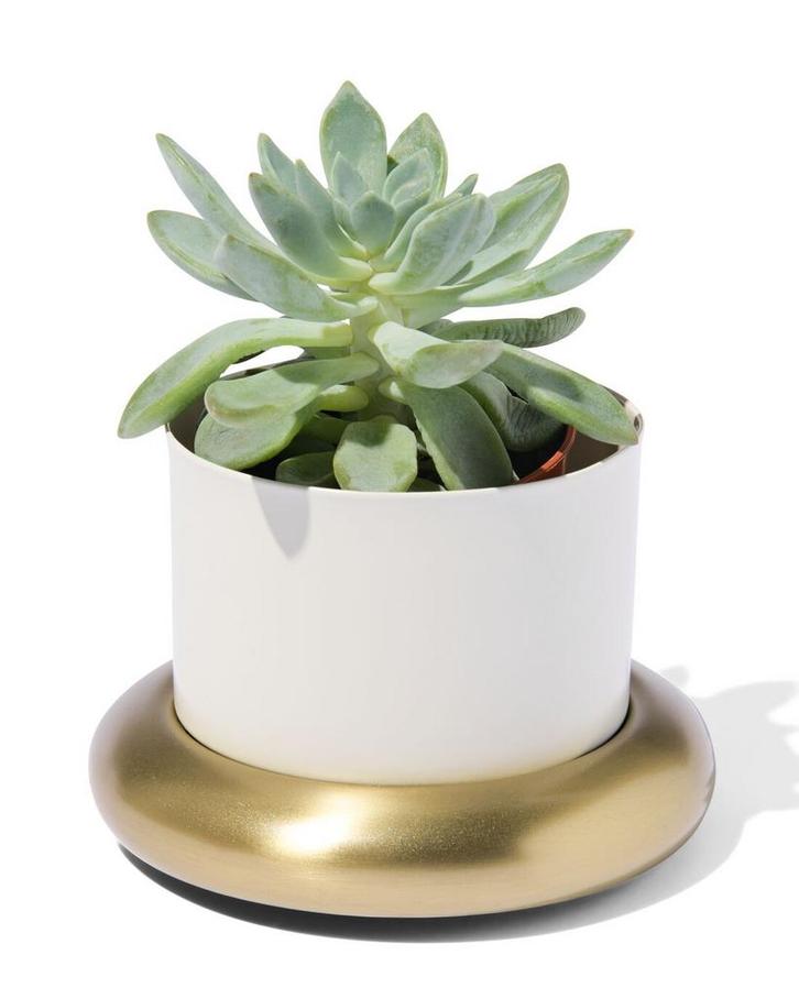 HEMA Bloempot Ø10x6.5cm metaal met schotel wit-goud van sale, Huis en Inrichting, Kamerplanten, Verzenden