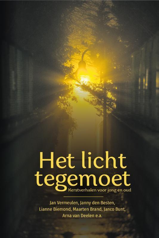Het licht tegemoet 9789087188344 Jan Vermeulen, Boeken, Godsdienst en Theologie, Zo goed als nieuw, Verzenden