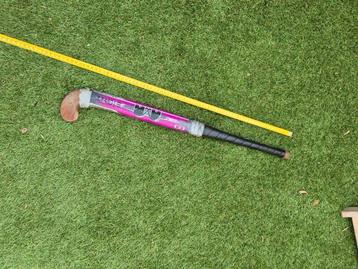 Hockeystick beschikbaar voor biedingen