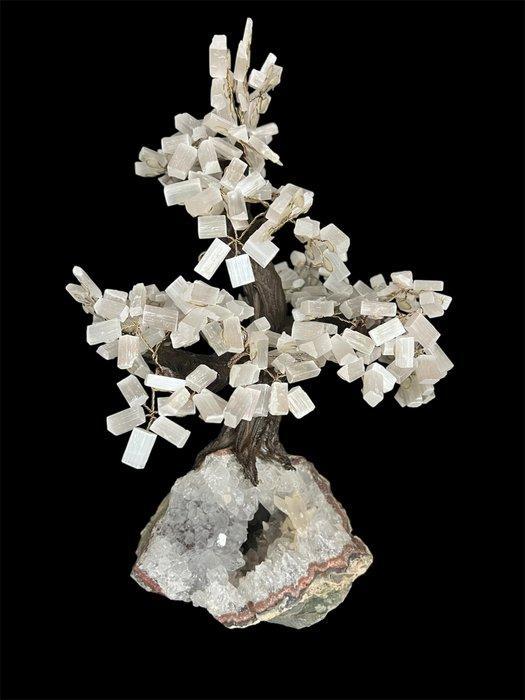 Cristal de Rocha / Selenita Een exclusieve collectie van, Verzamelen, Mineralen en Fossielen