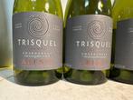 2021 Aresti Trisquel Chardonnay - Vallei van Curico - 6, Nieuw