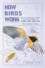 How Birds Work: An Illustrated Guide to the Wonders of Form, Verzenden, Zo goed als nieuw, Marianne Taylor