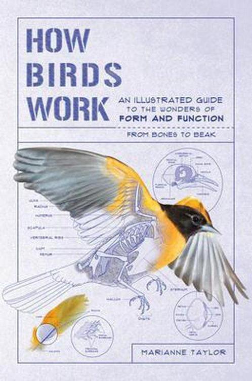 How Birds Work: An Illustrated Guide to the Wonders of Form, Boeken, Taal | Engels, Zo goed als nieuw, Verzenden