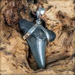 Natuurlijke haaientand fossiele ketting gemaakt van Sterling, Verzamelen, Mineralen en Fossielen