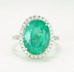 Ring Platina - 9.90ct. tw. Smaragd - Diamant - Doorzichtig -, Sieraden, Tassen en Uiterlijk, Ringen, Nieuw