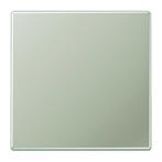 Jung Aluminium/Goudstaal/Chroom Bedieningselement/Centrale, Verzenden, Nieuw, Overige typen
