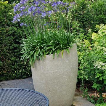 Ares L 66x66x90 cm Cream beschikbaar voor biedingen