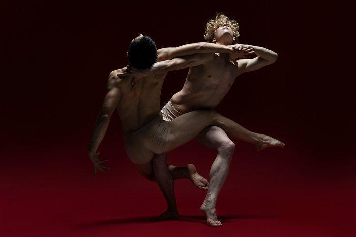 Erminando Aliaj - From the blood of Medusa, Pegasus sprang, Antiek en Kunst, Kunst | Designobjecten