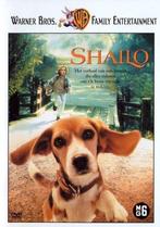 Shailo (dvd tweedehands film), Ophalen of Verzenden, Zo goed als nieuw