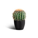 IvoQ Kunst Cactus 25 cm, Huis en Inrichting, Woonaccessoires | Kunstplanten en Kunstbloemen, Verzenden, Nieuw