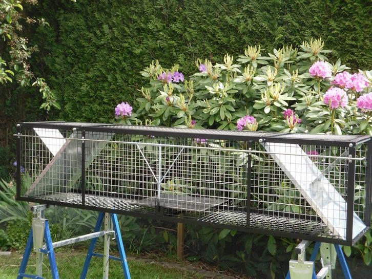 Stevige vangkooi voor vossen, Diensten en Vakmensen, Ongediertebestrijding