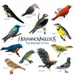cd - Hermanos Inglesos - The Wander Of You, Verzenden, Zo goed als nieuw