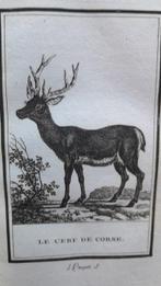 Buffon - Histoire naturelle. Tome 2 : Les quadrupèdes (
