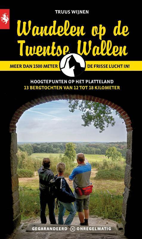 Wandelen op de Twentse Wallen 9789078641698 Truus Wijnen, Boeken, Reisgidsen, Zo goed als nieuw, Verzenden