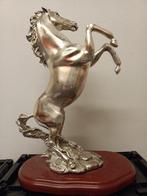 Marcello Giorgio - Beeld, Statua cavallo Marcello Giorgio -, Antiek en Kunst