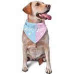 10 elastische gender reveal armbanden Its a Girl/Its a Boy, Hobby en Vrije tijd, Feestartikelen, Verzenden, Nieuw, Feestartikel