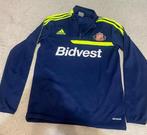 Sunderland A.F.C. - Engelse voetbalcompetitie - 2013 -, Nieuw