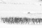Franco Turcati - Langhe Inverno 3 (2004)