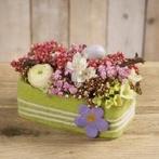 Oasis® tafeldecoratie met wol rechthoek medi rood pak 4, Ophalen of Verzenden, Nieuw