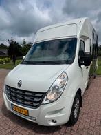 Knappe en luxe Renault MTM  paardenwagen! 2013 - Automaat!, Ophalen, Zo goed als nieuw, 2-paards trailer