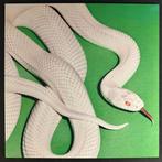 lp nieuw - Deftones - Private Music, Verzenden, Zo goed als nieuw