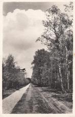 HOENDERLOO - HOGE VELUWE - Langs het Rijwielpad, Verzamelen, Ansichtkaarten | Nederland, Verzenden, Gelopen
