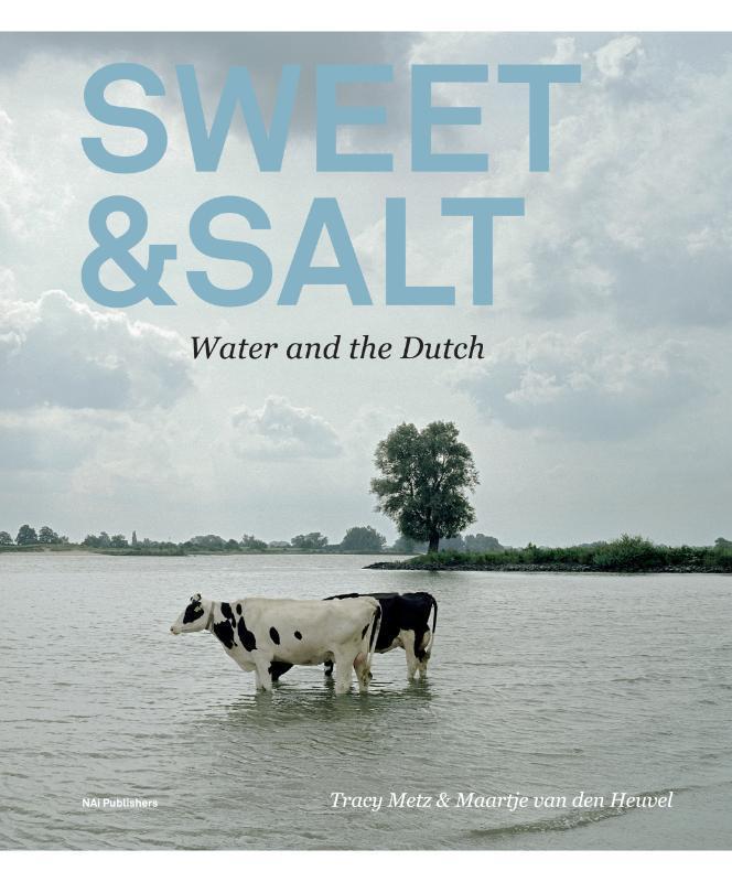 Sweet & salt 9789056628482 Tracy Metz, Boeken, Taal | Engels, Zo goed als nieuw, Verzenden