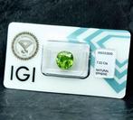 Titaniet - 7.03 ct - International Gemological Institute, Nieuw