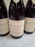 2018 Côtes de Nuits-Villages Les Viervilles - Côte de Nuits, Nieuw
